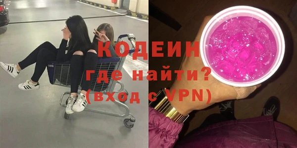 индика Богданович