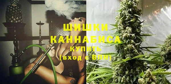 индика Богданович