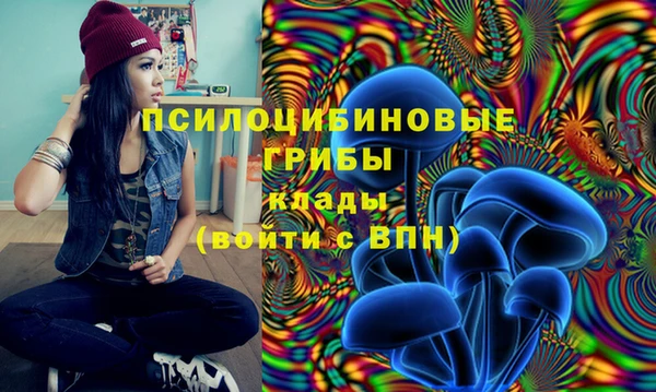 соль курить ск Бугульма