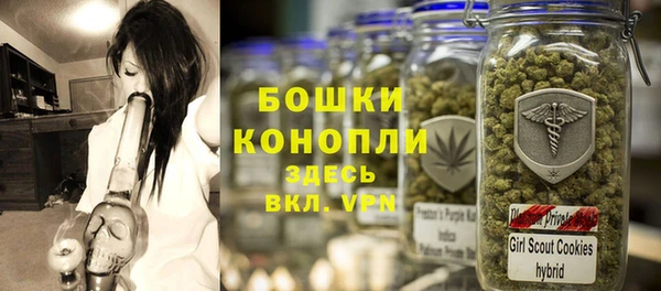 спайс Бородино