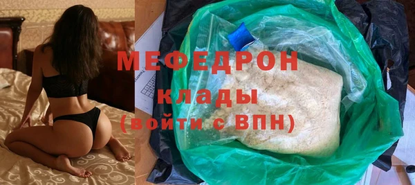 индика Богданович