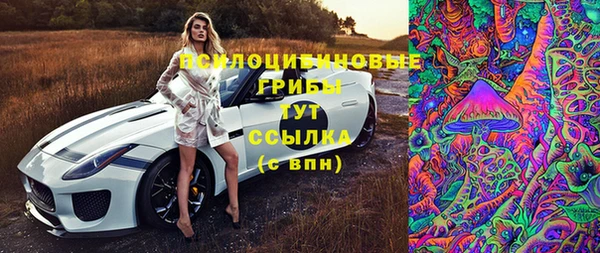 индика Богданович