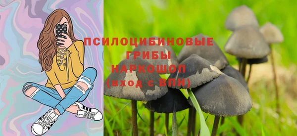 индика Богданович