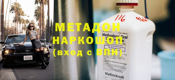 индика Богданович