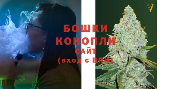 спайс Бородино